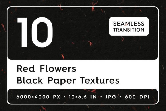Download Red Flowers Black Paper Textures Back - Black paper Collection